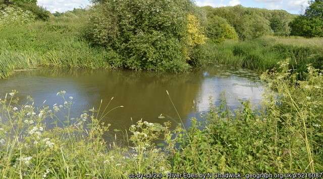 Looking across the River Eden angling venue at Vexor Bridge on a sunny sumer day