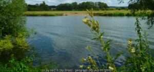 A view across the Thames to the angling venue at Cholsey on a sunny summer day