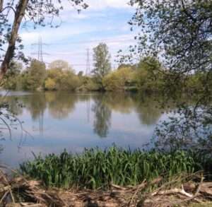 A view across the Cargill Lake angling venue on a sunny summer day