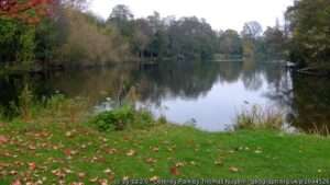 An autumn view of the angling lake controlled by Osterley National Trust