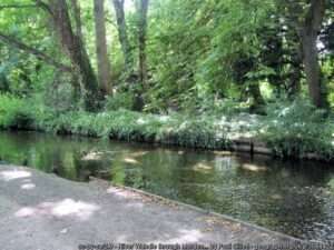 A view of a fishing venue on Morden Hall Park on a sunny summer day