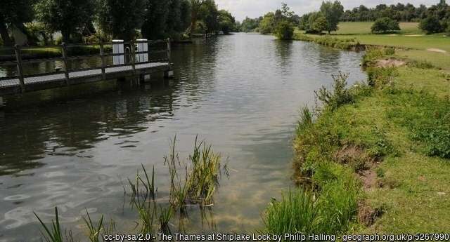 Looking across a Thames angling venue at Lower Shiplake on a summer day