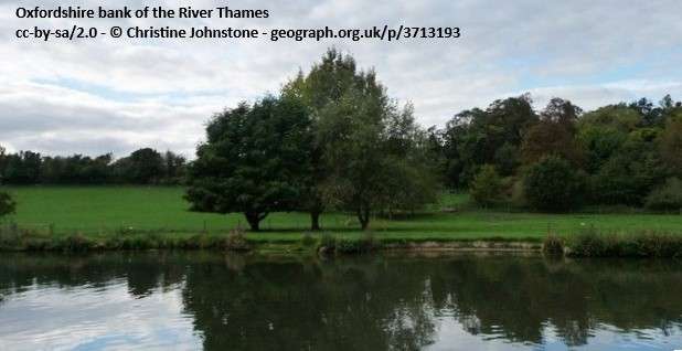 Looking across to the River Thames fishing venue at Shiplake on a summer day